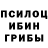 Галлюциногенные грибы GOLDEN TEACHER Jaket Stephens