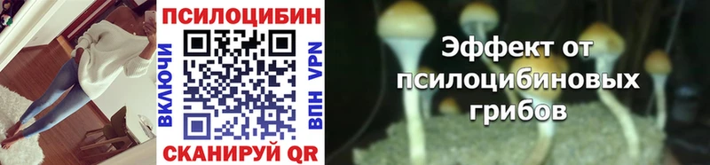 Купить закладки  Славск  Галлюциногенные грибы Psilocybe 